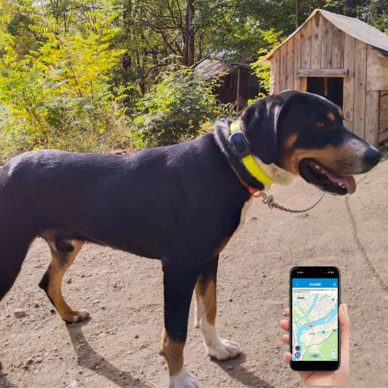 4G Pet GPS Тракер